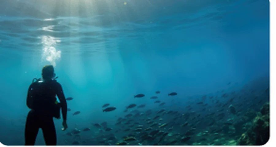Diver underwater with fish in blue water