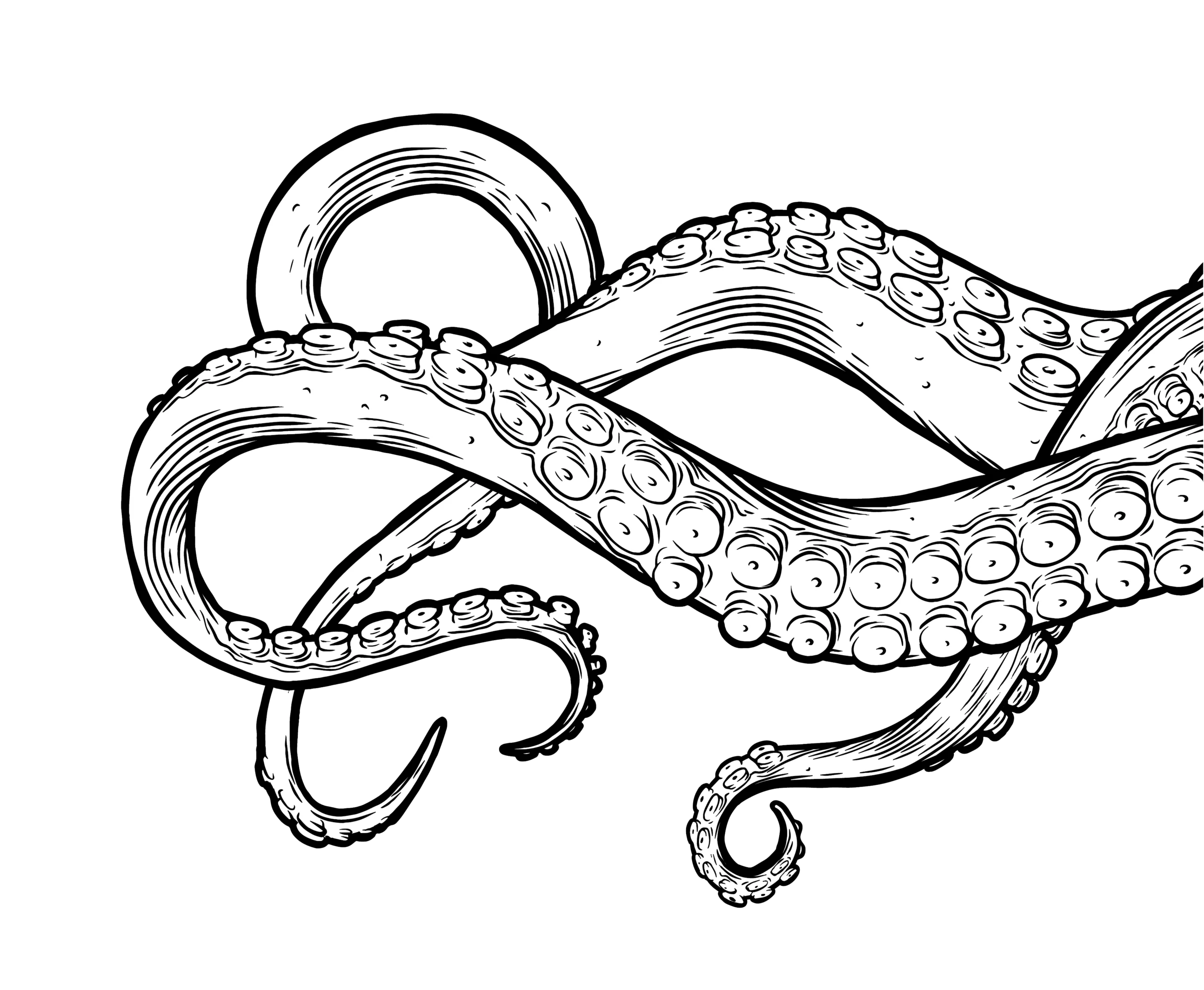 Explorers education octopus illustration