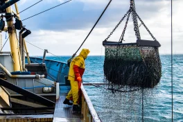Marine resource activity on a research vessel