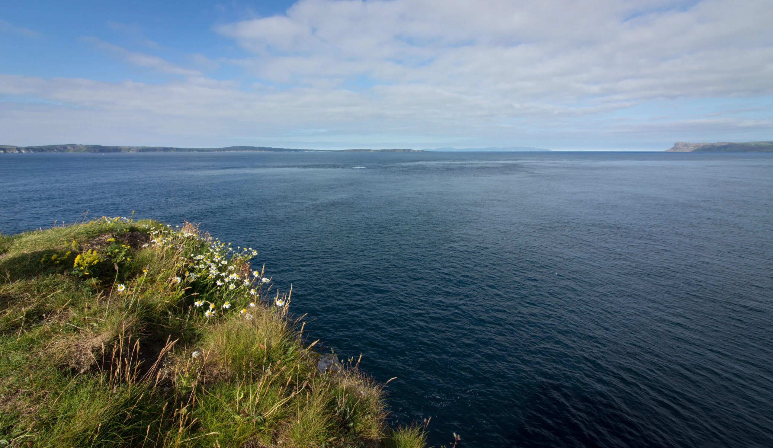 Irish coast representing shellfish safety monitoring