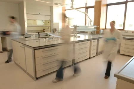 Bright laboratory workspace with Marine Institute staff