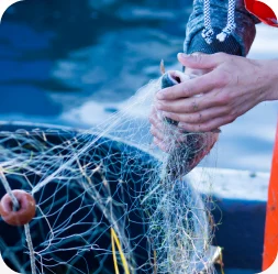 Fisher handling survey netting