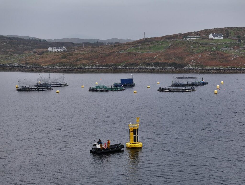 Aquaculture cages and monitoring buoys in sheltered water at Lehanagh Pool, with a small workboat beside a large yellow instrument buoy and rocky hills onshore.