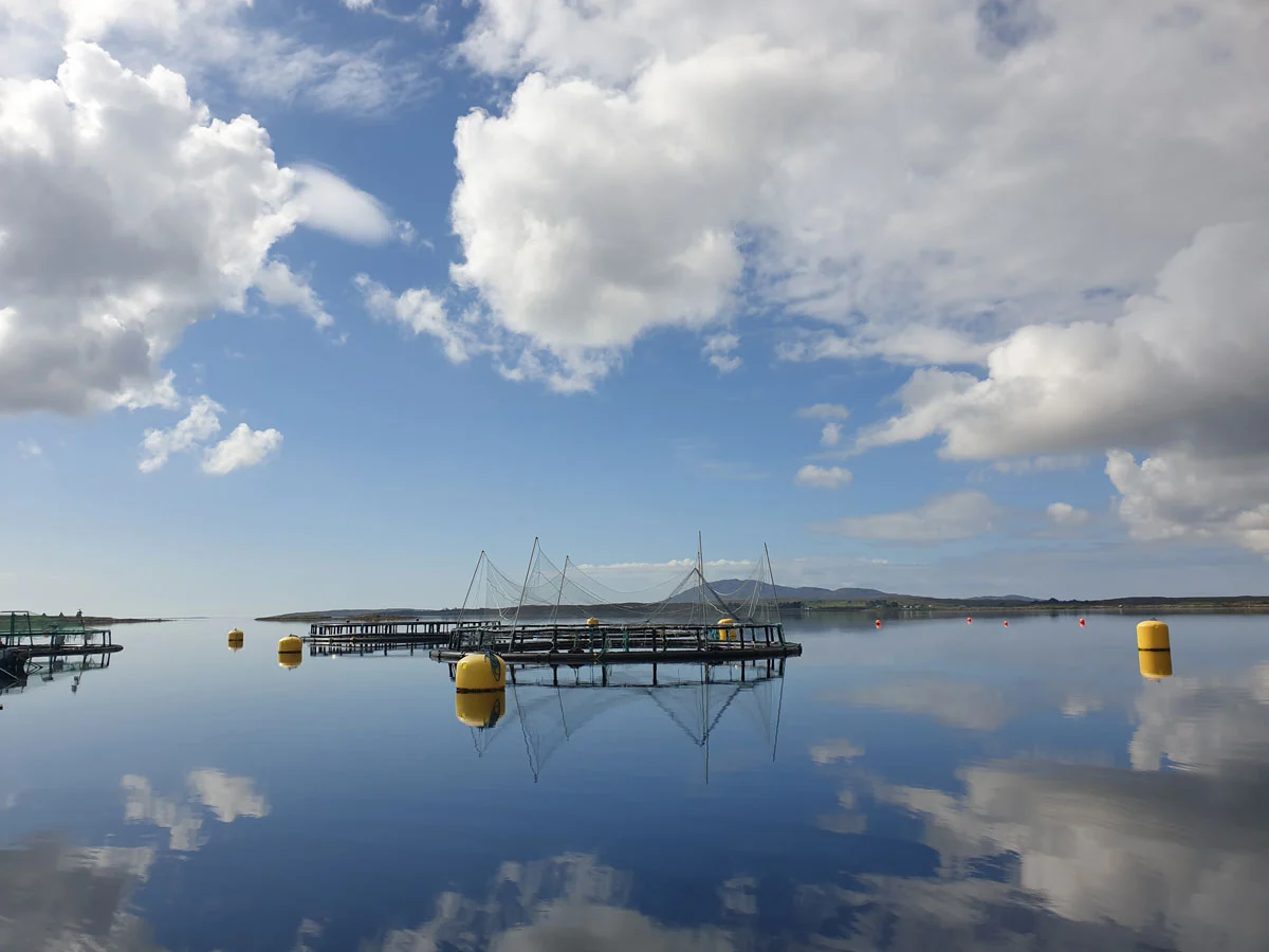 Aquaculture research pens and yellow buoys floating on calm water beneath a cloudy sky.
