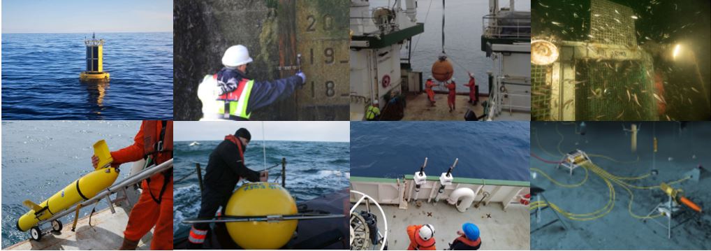 Collage of marine equipment in use, including ocean buoys, a yellow underwater instrument, shipboard lifting operations and equipment deployed on the seabed.
