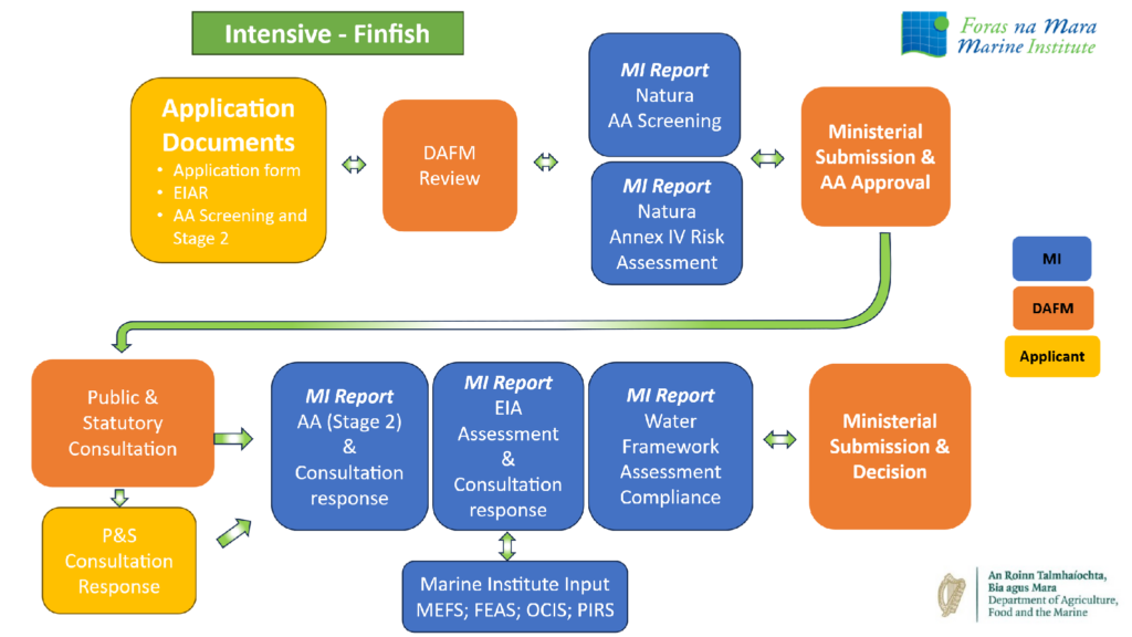 Flowchart of the intensive finfish licensing process, from application and departmental review through Marine Institute environmental assessments, consultation and ministerial decision.
