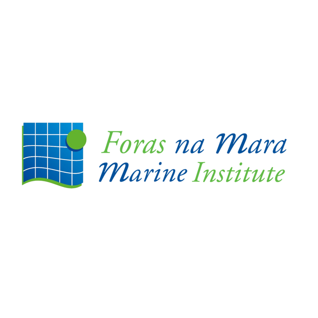 image1.png